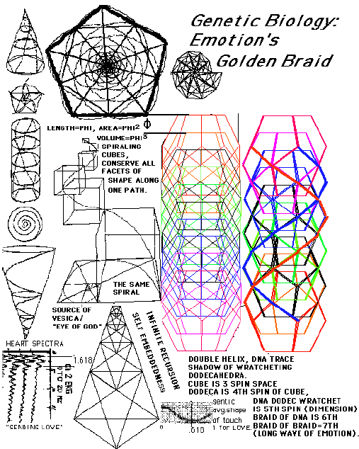biolog�a gen�tica de las emociones