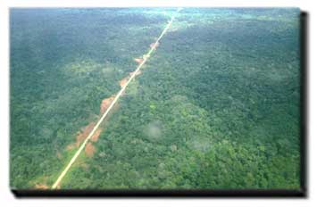 deforestaci�n colonizaci�n