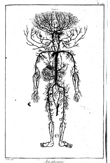 el �rbol de Diderot