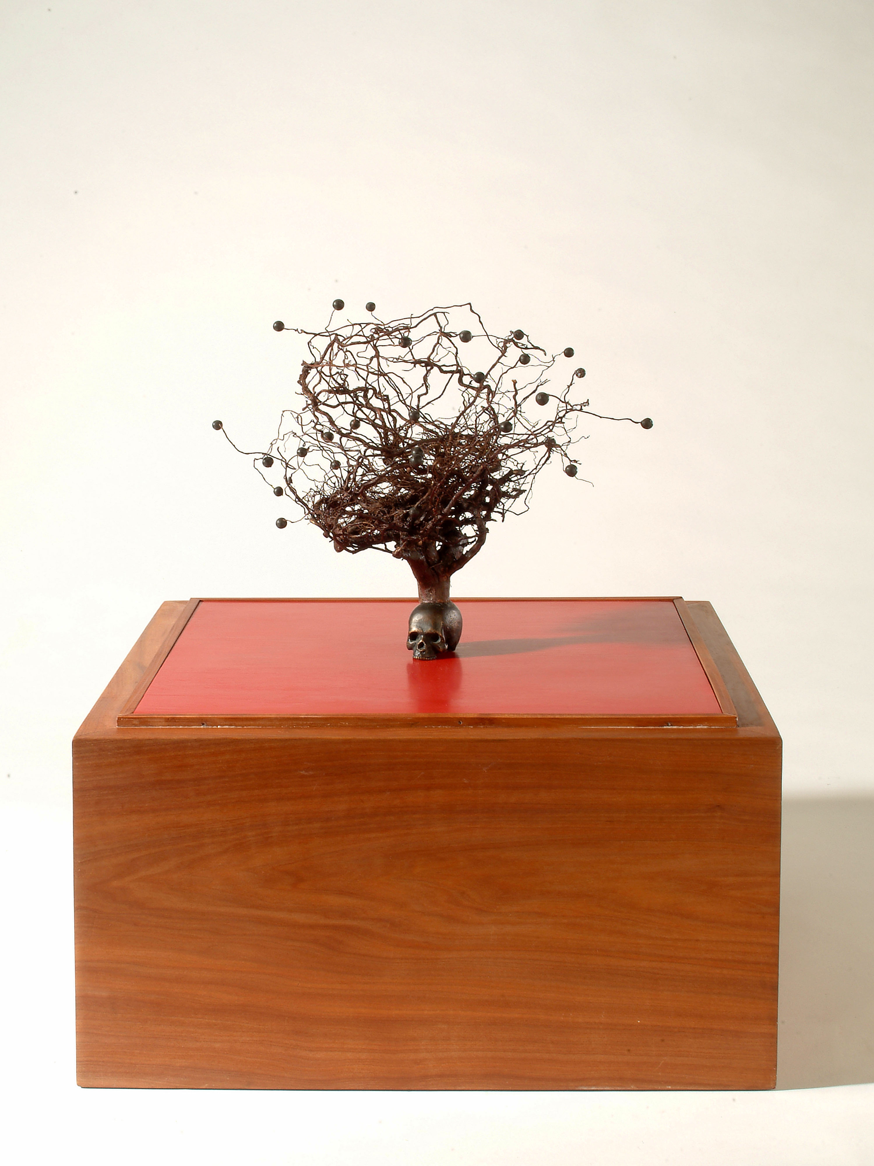 23.1 e lemperador.1.jpg