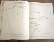 cssheader=[mhead1] header=[docs/imagenes_libros/cas4767.JPG] cssbody=[mbody1] body=[<br><em>01/01/1970 02:00</em>]