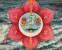 cssheader=[mhead1] header=[docs/imagenes/seven_lotus/swadhisthan-padma.jpg] cssbody=[mbody1] body=[<br><em>01/01/1970 02:00</em>]