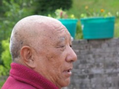 cssheader=[mhead1] header=[joly_island_063.JPG] cssbody=[mbody1] body=[<br><em>01/12/2005 16:25</em>]