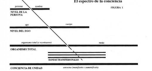 cssheader=[mhead1] header=[niveles_de_conciencia.jpg] cssbody=[mbody1] body=[<br><em>02/01/2006 03:26</em>]