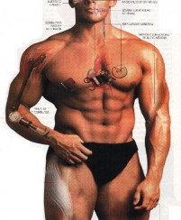 cssheader=[mhead1] header=[docs/imagenes/bionicman.jpg] cssbody=[mbody1] body=[<br><em>01/01/1970 02:00</em>]