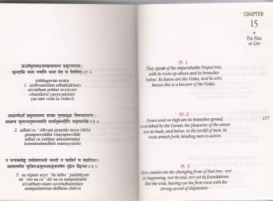 cssheader=[mhead1] header=[the_three_of_life.jpg] cssbody=[mbody1] body=[<br><em>30/10/2005 00:26</em>]