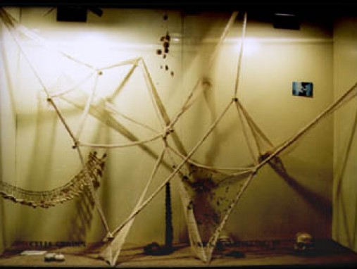 cssheader=[mhead1] header=[VITRING.JPG] cssbody=[mbody1] body=[<br><em>13/11/2005 02:29</em>]